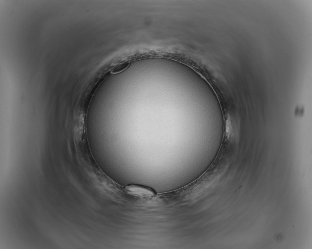 X0000101141492200807110930