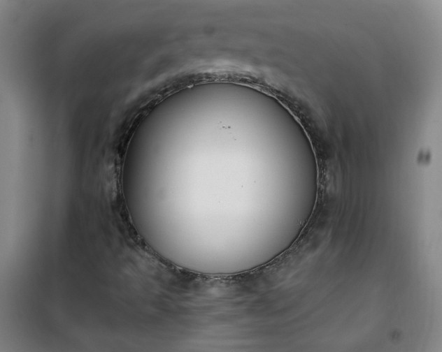 X0000101141493200807110930