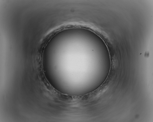 X0000101141494200807110930