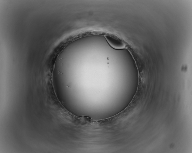 X0000101141495200807110930