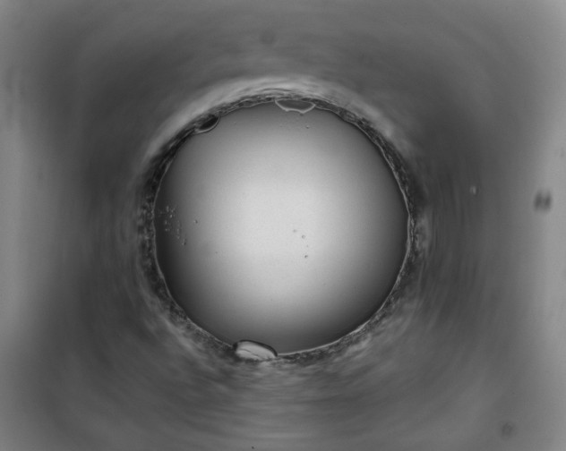 X0000101141496200807110930