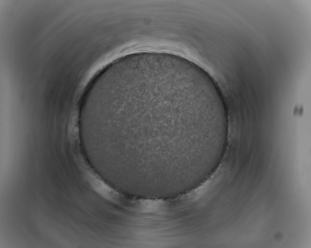 X0000101141498200807110930