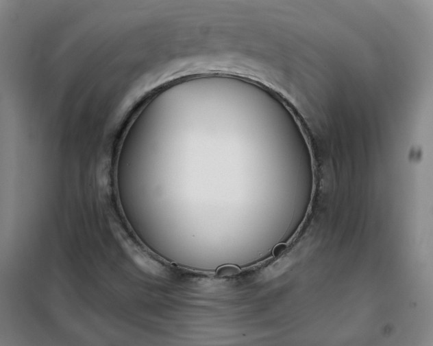 X0000101141499200807110930