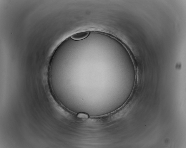 X0000101141500200807110930