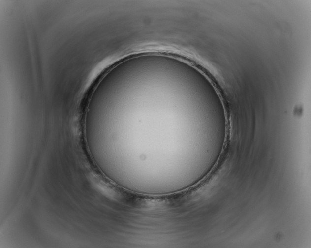 X0000101141501200807110930