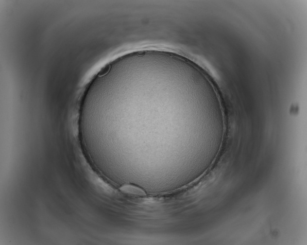 X0000101141504200807110930