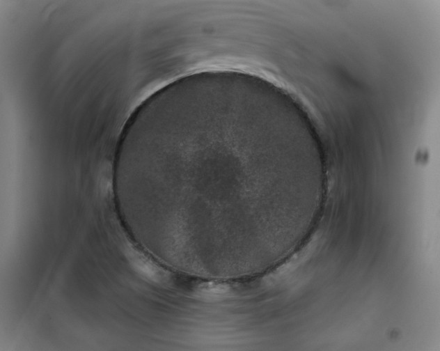 X0000101141505200807110930