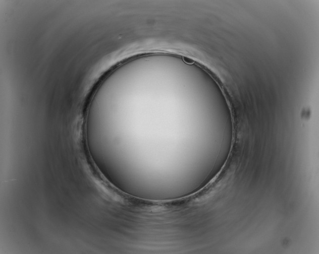 X0000101141507200807110930