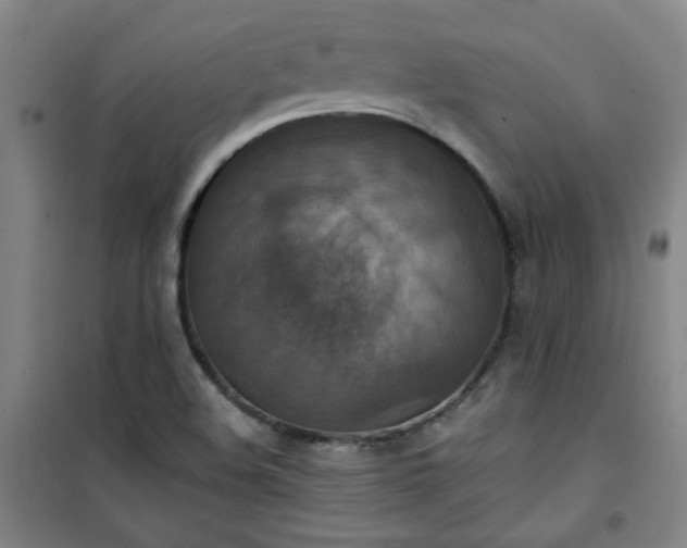 X0000101141508200807110930