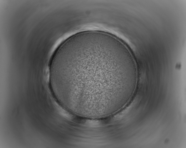 X0000101141509200807110930