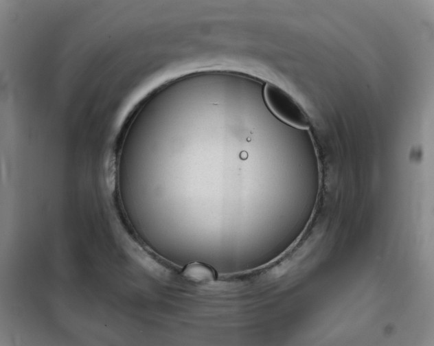 X0000101141510200807110930