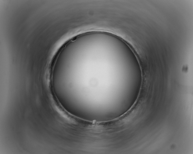 X0000101141511200807110930