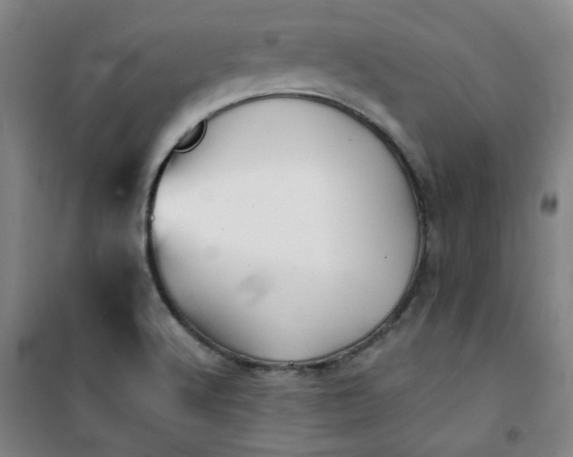 X0000101141512200807110930