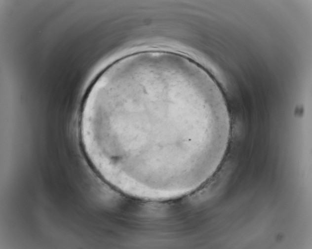 X0000101141514200807110931