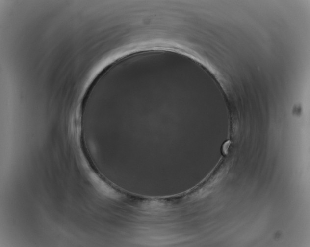 X0000101141515200807110931