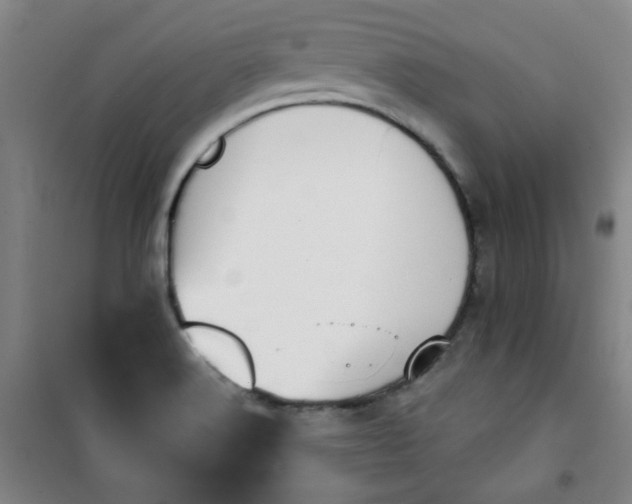 X0000101141516200807110931