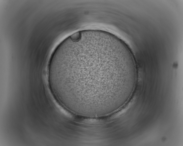 X0000101141517200807110931