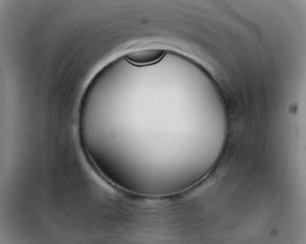 X0000101141518200807110931