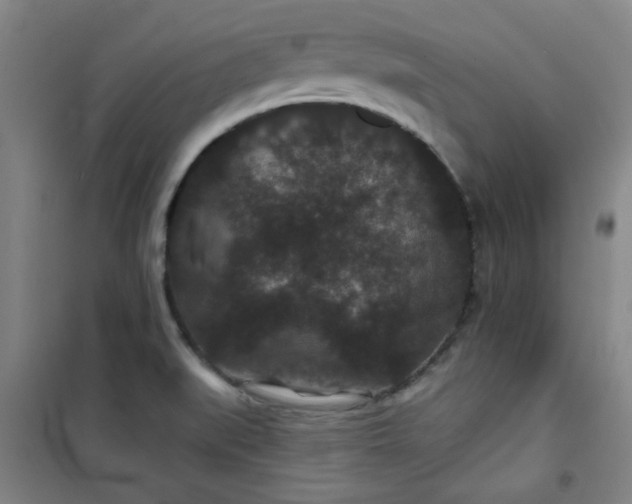 X0000101141519200807110931