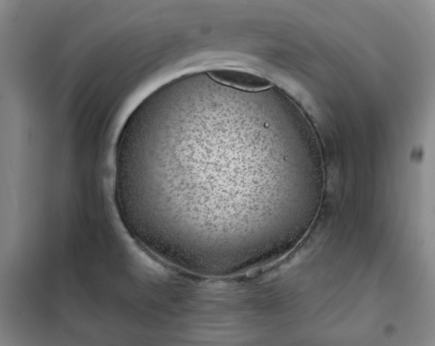 X0000101141520200807110931