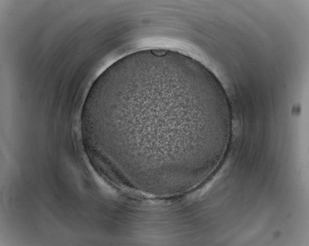 X0000101141521200807110931