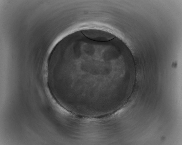 X0000101141522200807110931