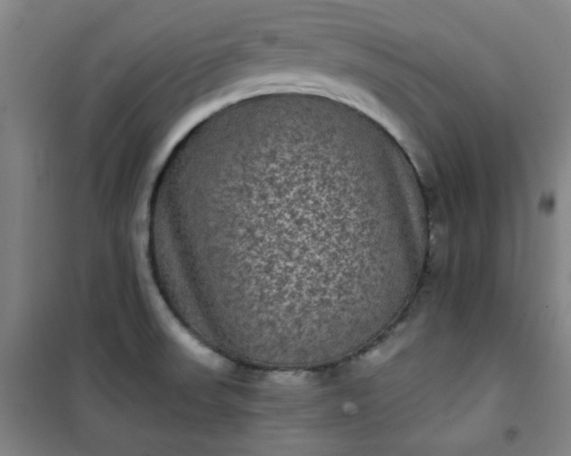 X0000101141523200807110931