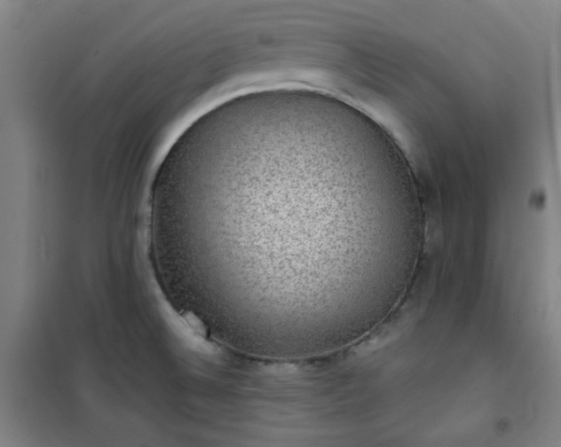 X0000101141524200807110931