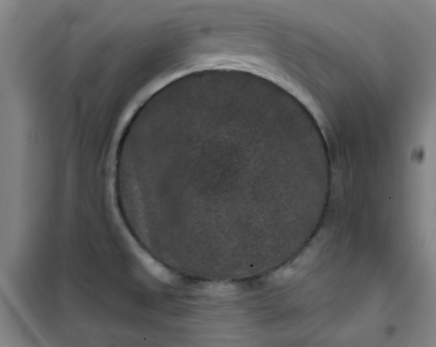 X0000101141525200807110931