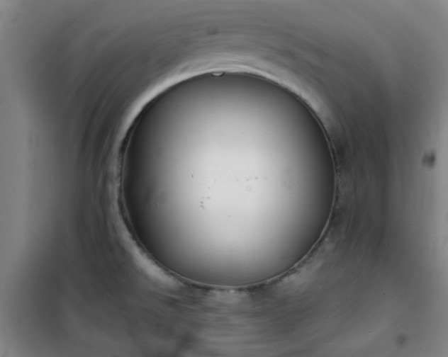 X0000101141526200807110931