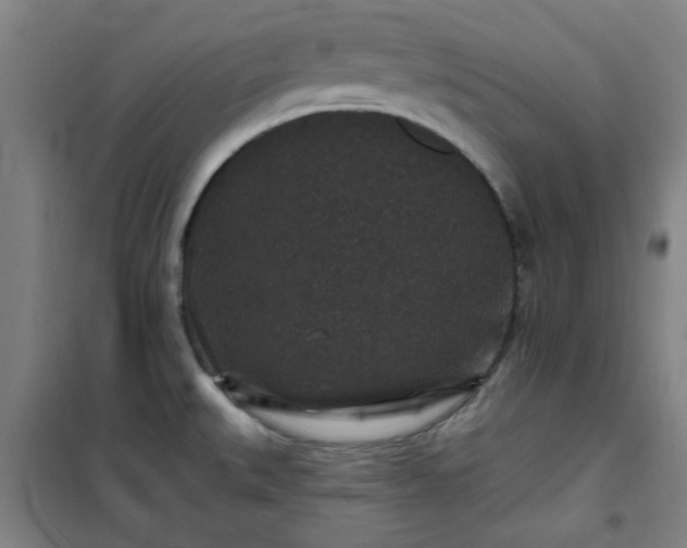 X0000101141527200807110931