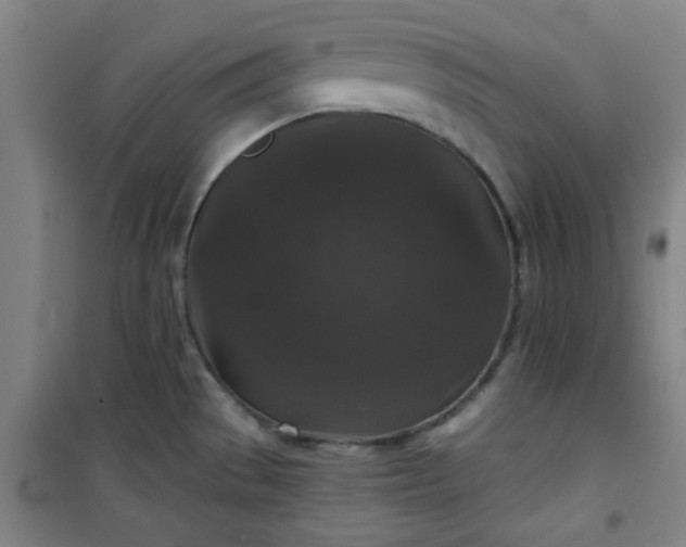 X0000101141529200807110931