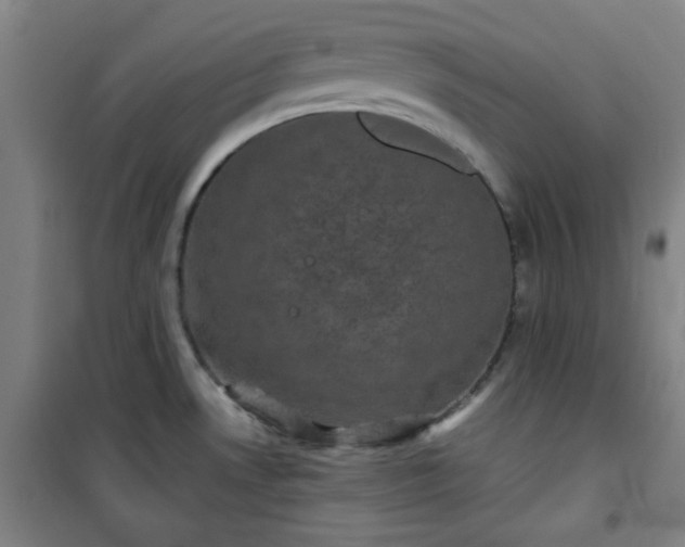 X0000101141530200807110931