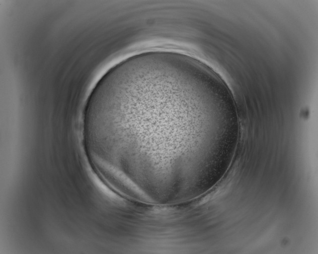 X0000101141531200807110931