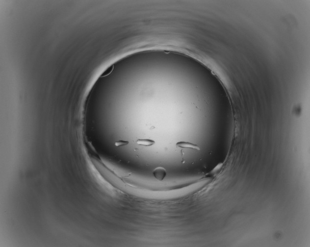 X0000101141532200807110931