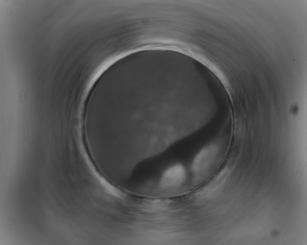 X0000101141533200807110931