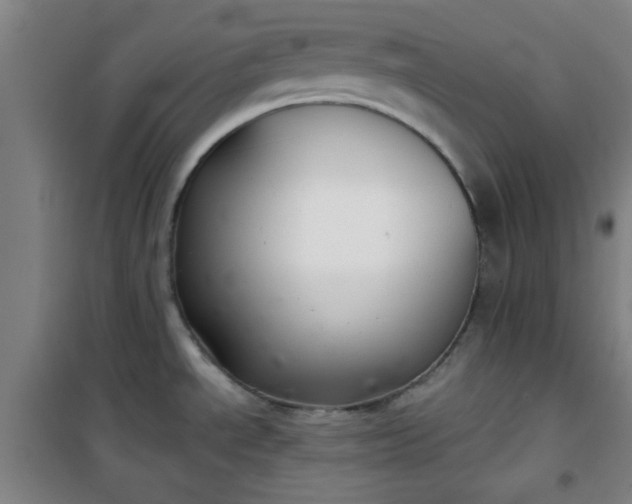 X0000101141534200807110931