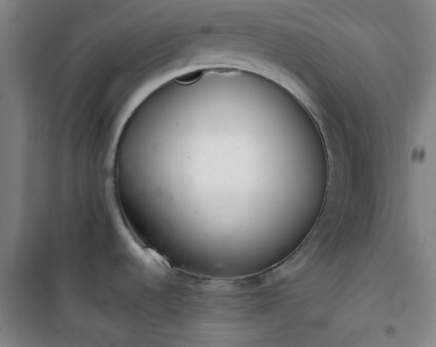 X0000101141536200807110931