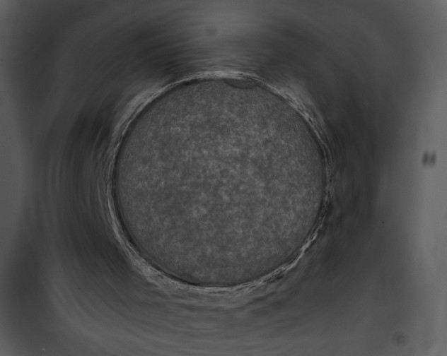 X0000101140001200807181306