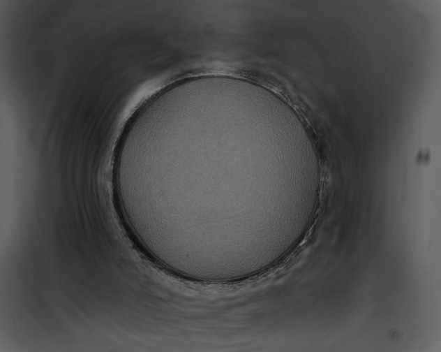 X0000101140006200807181305