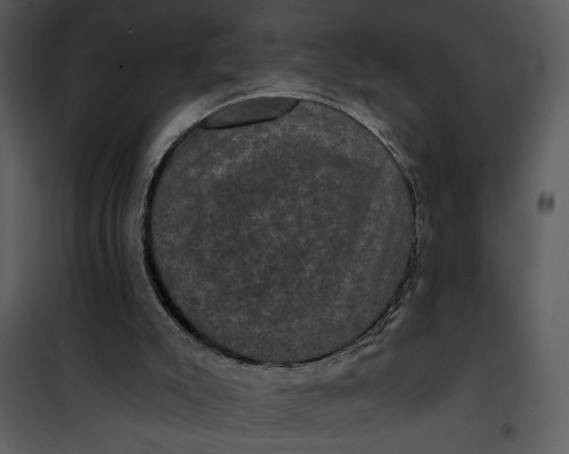 X0000101140007200807181305