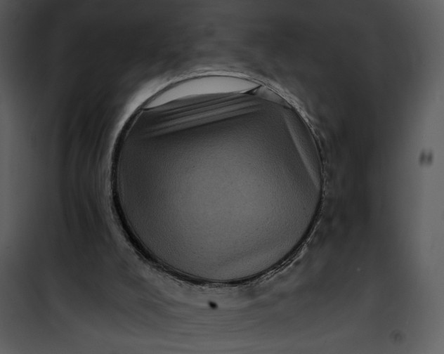 X0000101140008200807181305