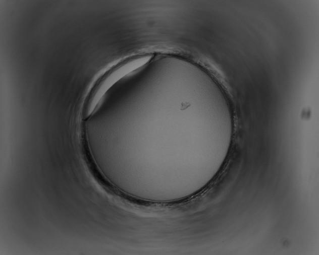 X0000101140012200807181305