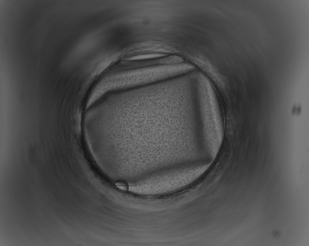 X0000101140014200807181305