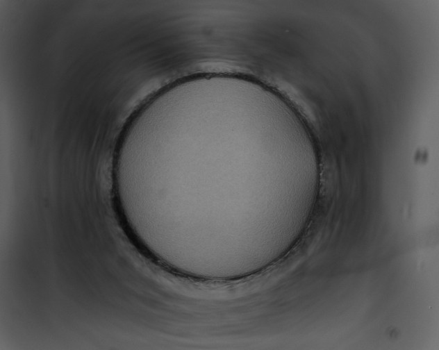 X0000101140015200807181305