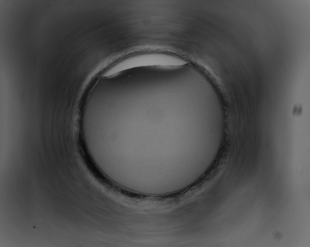 X0000101140016200807181305