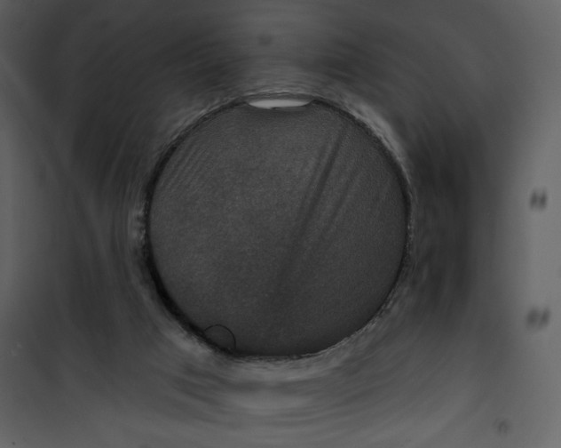 X0000101140017200807181305