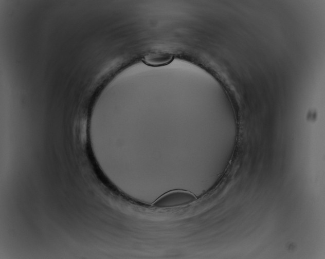 X0000101140019200807181305