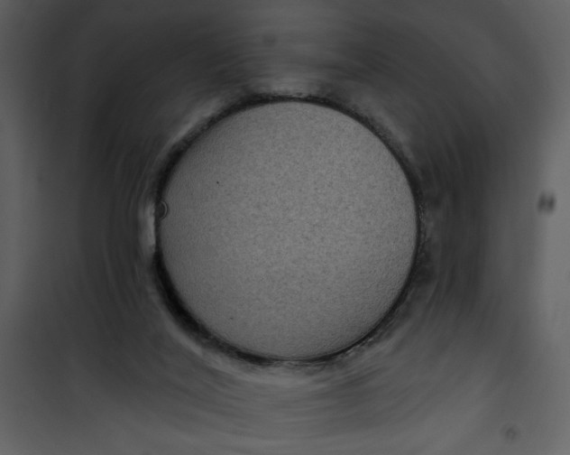 X0000101140020200807181305