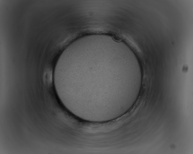 X0000101140021200807181305